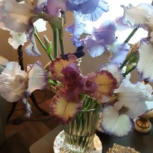 Jewelry, clothing, shoes